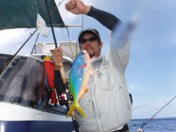 TEAM�Ôg�Á@�k�m�]��