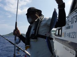 �Ò��R�U�N���@�@�n���쓇�ɂ�