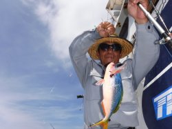 TEAM�Ôg�Á@�k�m�]��