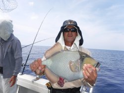 TEAM�Ôg�Á@�k�m�]�����[�͂���[�i�S�}�����K���j