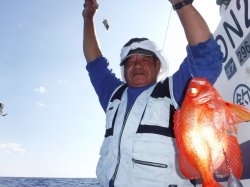 �Ò��R�Q�N���@�@�ɍ]���ɂ�