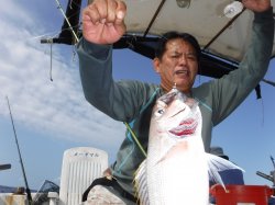 �Ò��R�U�N���@�@�n���쓇�ɂ�