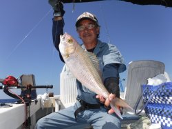 �Ò��R�Q�N���@�@�ɍ]���ɂ�