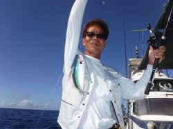 TEAM�Ôg�Ái�k�̑]���j