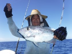 �s����������i�k�̑]���j