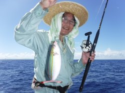 �s����������i�k�̑]���j