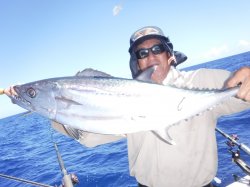 TEAM�Ôg�Ái�k�̑]���j�܂��܂��T�����I