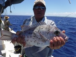 TEAM�Ôg�Ái�k�̑]���j�V���C��