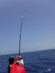 �r���g�@�i�k�̑]���j