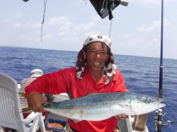 �r���g�@�i�k�̑]���j