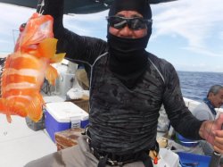 �s����������i�k�̑]���j