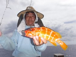 �s����������i�k�̑]���j