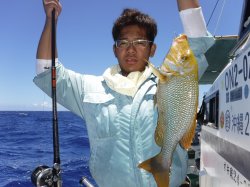 TEAM�Ôg�Ái�k�̑]���j