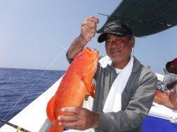 �r���g�@�i�k�̑]���j�A�J�W���~�[�o�C