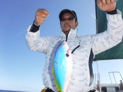 TEAM�Ôg�Ái�k�̑]���j