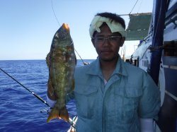 TEAM�Ôg�Ái�k�̑]���j