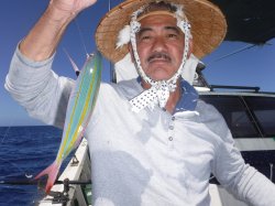 �s����������i�k�̑]���j