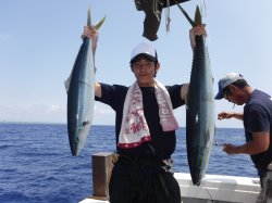 �r���g�@�k�̑]���ɂă��}�g�i�K�C���i�c���u���j�@4.87kg