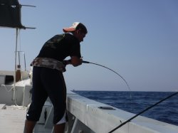 �ߔe���獂������A�m�Ԃ���i�ǒJ���j