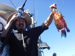 �s����������i�k�̑]���j