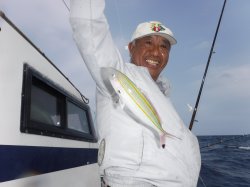 �^�}�L�g�@�i�ǒJ���j