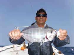 �^�}�L�g�@�i�ǒJ���j