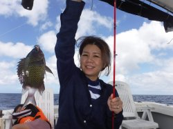 ���鑺�����Â���