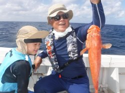 ���鑺�����Â���A�J�W��1.78����