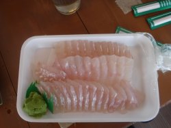 �ނ肽�ĐV�N�Ȃ��������h�g�ł������ł����H�T�C�R�[�ł���I