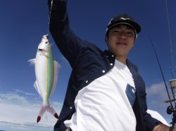 ���m�����珬������