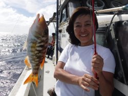 ��t�����璆������