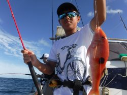 ���m�����珬������