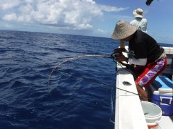 TEAM�O���N�@�@�n���쓇