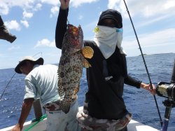 TEAM�O���N�@�@�n���쓇