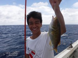 ��t�����璆������