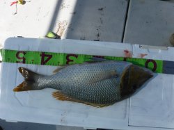 TEAM�O���N�@�@�n���쓇