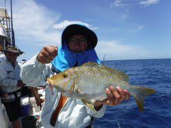 TEAM�O���N�@�@�n���쓇