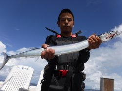 �ߔe���皠������@�ǒJ��