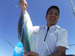 �^�}�L�g�@�ɍ]��