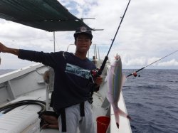 �s�d�`�l�Ôg�Á@�ɍ]��