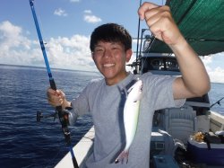 �^�}�L�g�@�ɍ]��