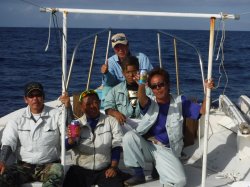 �s�d�`�l�Ôg�Á@�ɍ]��