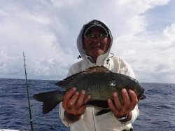 �r���g�@�ɍ]��