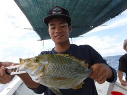 �s�d�`�l�Ôg�Á@�ɍ]��