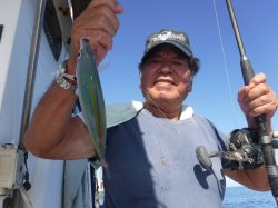 �^�}�L�g�@�ɍ]��