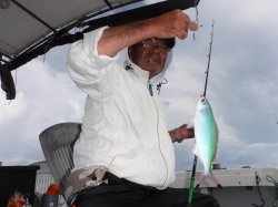 �r���g�@�ɍ]��