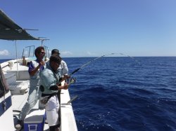 �s�d�`�l�Ôg�Á@�ɍ]��