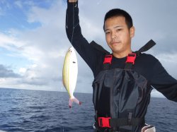 �ߔe���皠������@�ǒJ��