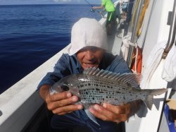 �^�}�L�g�@�ɍ]��