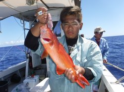 �s�d�`�l�Ôg�Á@�ɍ]��